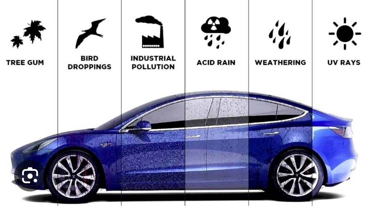 Automotive Paint Protection photo